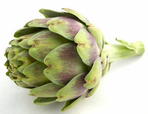 Artichoke