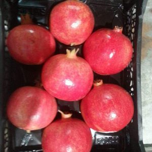 Pomegranate2