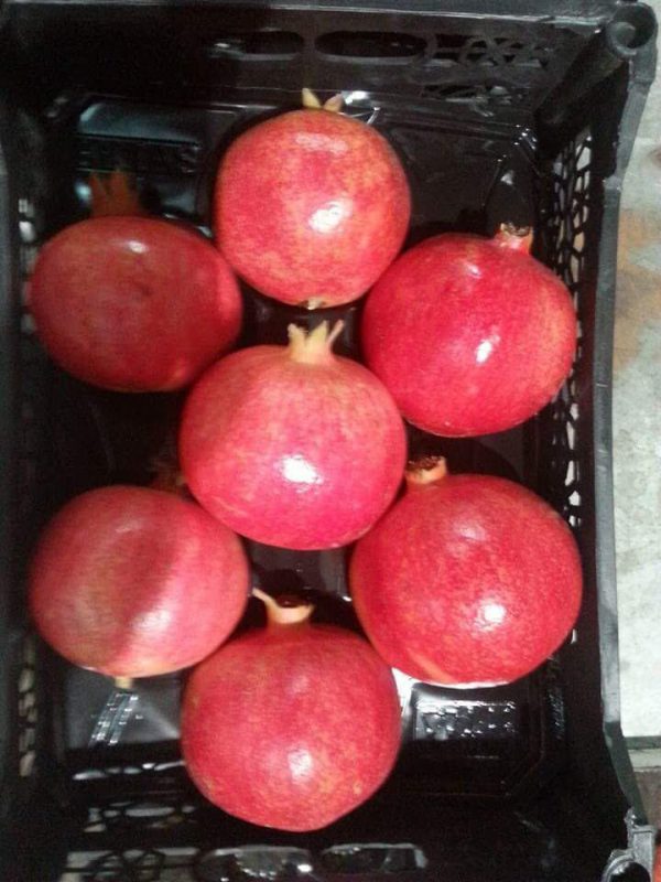Pomegranate2