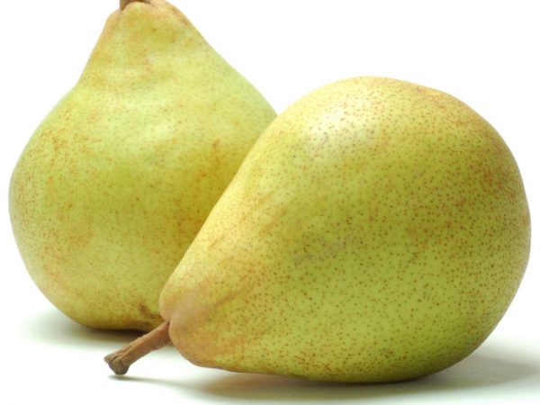 pear