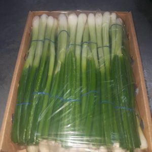 spring onion1